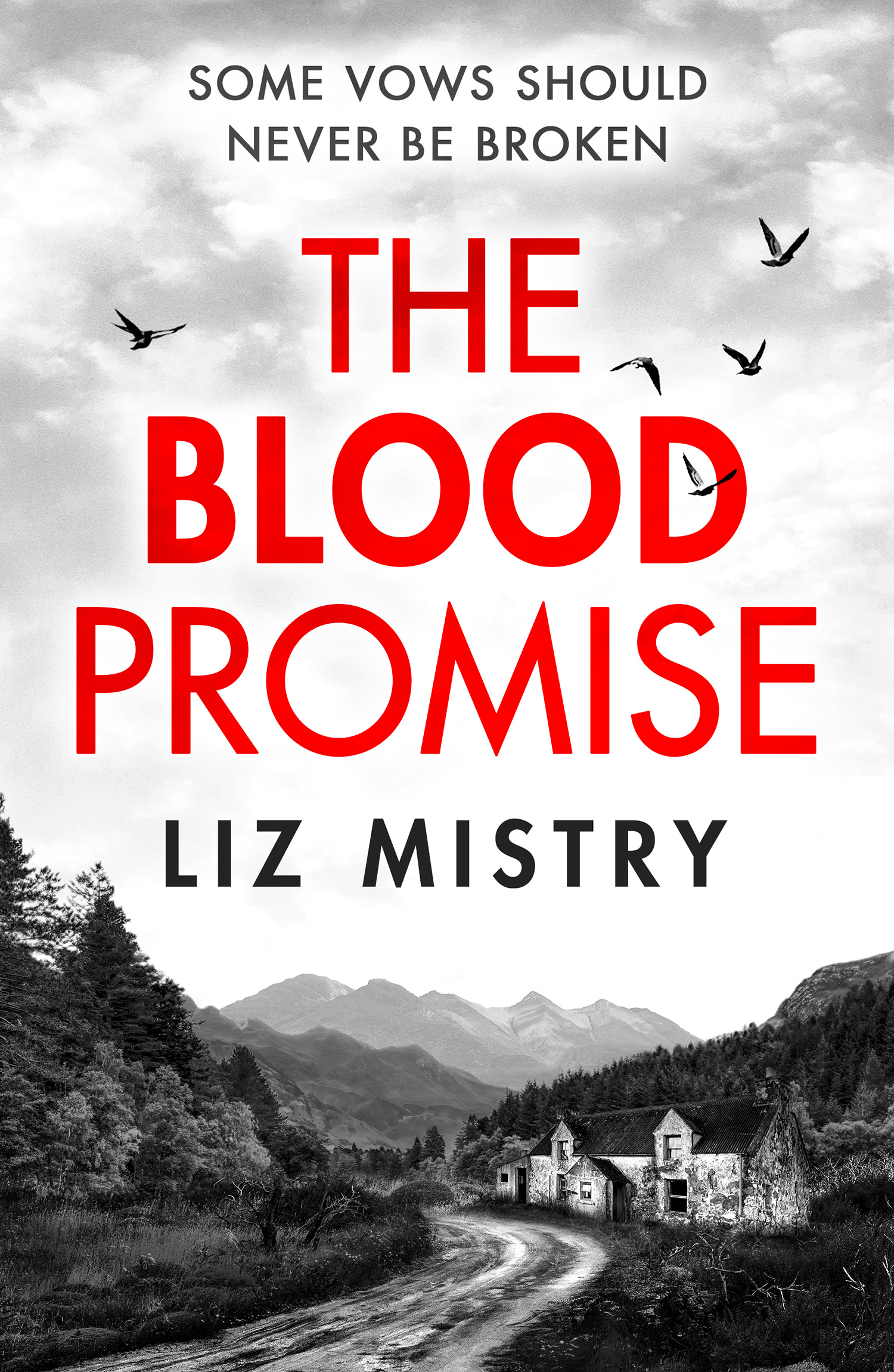 The Blood Promise - Book Spotlight - Dr. Stacey-Ann Baugh